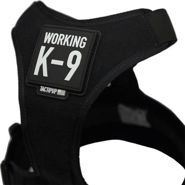Working K9 Patch (2.75  x 2.75 ) For Cheap - Image 2