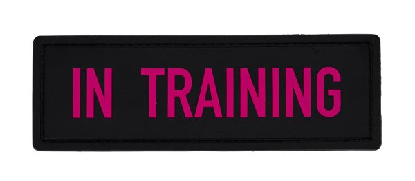 In Training Patch (4.5  x 1.5 ) on Sale - Image 2